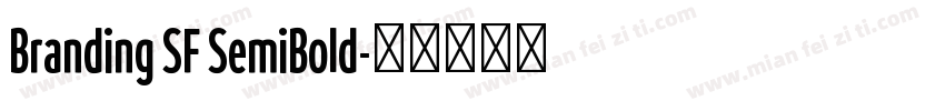 Branding SF SemiBold字体转换